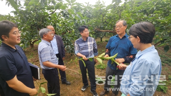 경남도농업기술원 정찬식 원장이 지난 8일 탄저병 성공 방제를 위해 과수농가를 방문, 현장 애로사항을 청취했다.