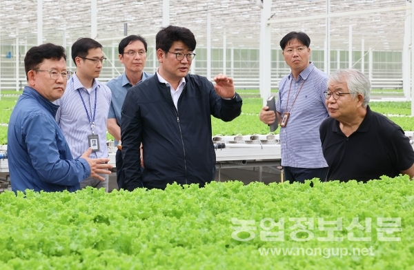 권재한 농촌진흥청장이 지난 25일 전북특별자치도 김제시 죽산면 논콩 생산단지를 방문해 생육 상황을 살피고 있다.