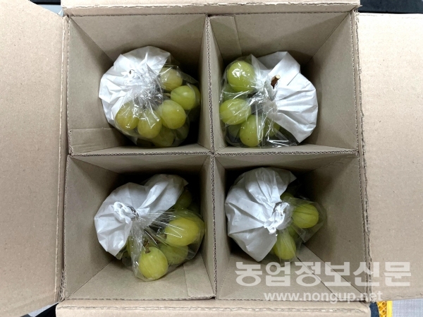 농진청과 (주)네오게임즈가 새로 개발한 포도상자.